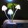 Mushroom Wall Sensor Night Light – Dream Fungus Induction Lamp for Bedroom & Home Decoration